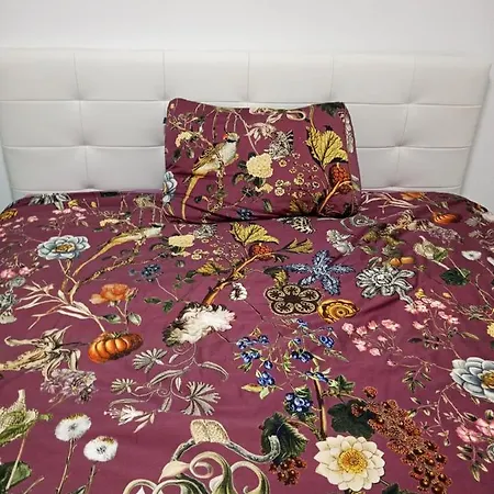 Apartma D Apartmán Ližnjan